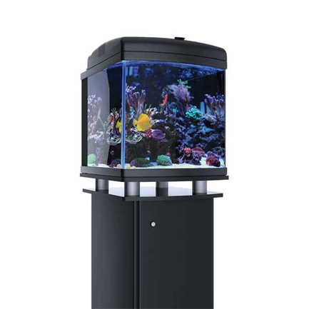 Buy Bulk Cheap Fish Aquariums For Sale Near Me Online   3 1 1.webp