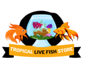 Tropical Live Fish Store